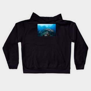 kohtao thailand scuba diving diver ocean sea travel wildlife photography Kids Hoodie